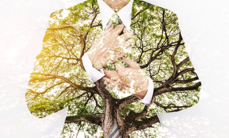 Así se adaptan las pymes al reto de la transición ecológica 1 1634533098 Asi se adaptan las pymes al reto de la transicion