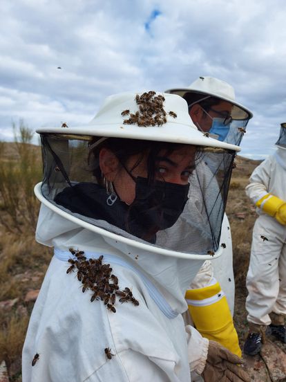 El poder del insecto más fascinante del mundo 8 Paula Bermejo, que ahora trabaja en una empresa de plantas aromáticas, entiende que los jóvenes tienen que adquirir conocimientos de los apicultores veteranos. Y luego perpetuar el oficio. “Sí sería una salida laboral para nosotros. Hoy no hay muchas personas que desempeñen este trabajo”, asegura.