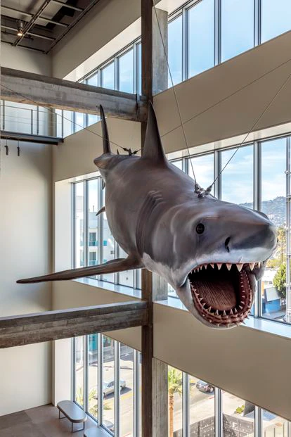 Hollywood muestra su nuevo rostro en el Museo de la Academia 5 El animatronic de 'Tiburón', donado por Steven Spielberg.