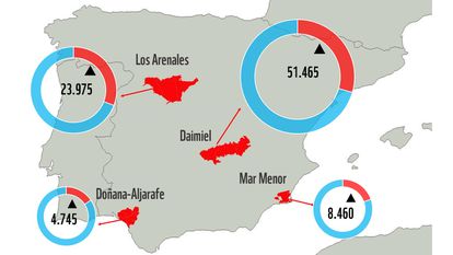 WWF calcula que en Daimiel, Doñana, mar Menor y Arenales se riegan de forma ilegal 88.000 hectáreas 3 Agua extraída de forma ilegal en los cuatro acuíferos investigados (WWF).