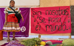 Tierra e igualdad: Por el reconocimiento de los derechos agrarios de las mujeres 3 1635377720 951 Tierra e igualdad Por el reconocimiento de los derechos agrarios