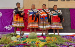 Tierra e igualdad: Por el reconocimiento de los derechos agrarios de las mujeres 7 1635377722 537 Tierra e igualdad Por el reconocimiento de los derechos agrarios