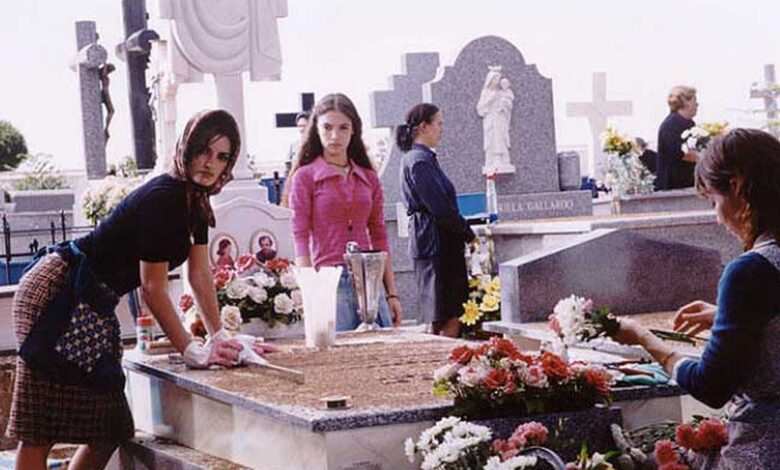 Estropajo y flores 1 1635595735 Estropajo y flores