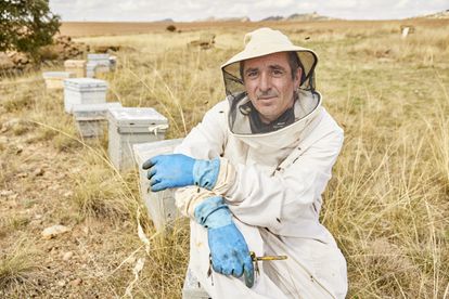El poder del insecto más fascinante del mundo 2 Además de apicultor, Casado es el alcalde de Hombrados y su mujer es teniente alcalde. Le gusta ver cuidado el entorno en el que vive y sabe que la abeja ocupa un papel central. “Hay que ser consecuente con lo que tenemos. ‘Si la abeja desaparece el ser humano lo hará en cuatro años’, dicen que dijo el físico Albert Einstein. No sé si tanto, pero está claro que a contracorriente de la naturaleza no vamos a subsistir”, tercia.