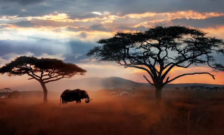 Los países más bonitos y seguros de África para unas vacaciones 1 Los paises mas bonitos y seguros de Africa para unas