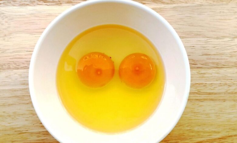 Manchas rojas en los huevos: ¿Qué significa? ¿Son peligrosas? 1 Manchas rojas en los huevos ¿Que significa ¿Son peligrosas