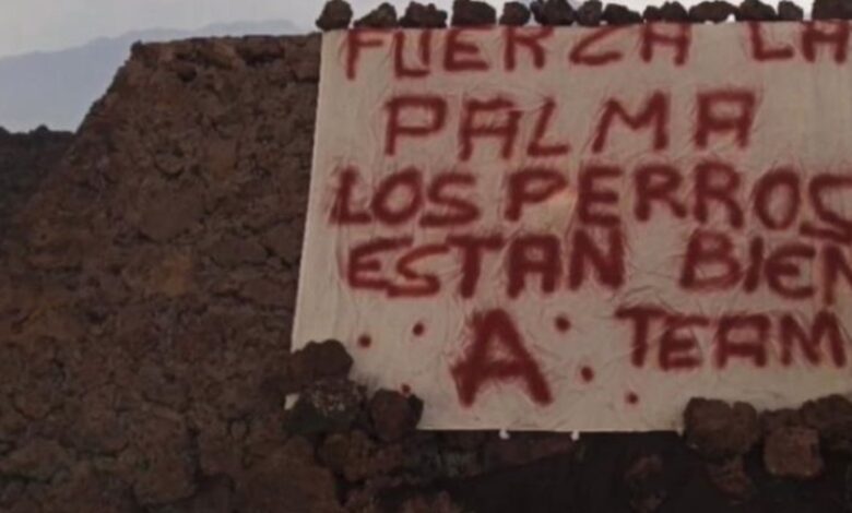 Quién es el misterioso equipo A que supuestamente ha rescatado a los perros de La Palma 1 Quien es el misterioso equipo A que supuestamente ha rescatado