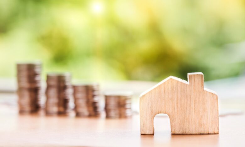 ¿Qué es la ley de la oferta y la demanda? Ejemplos y definición 1 Que es la ley de la oferta y la demanda