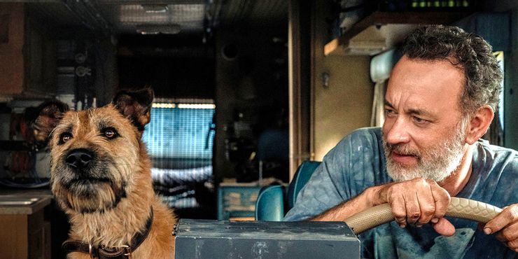 Finch Review: Tom Hanks es una maravilla de un solo hombre en la desgarradora ciencia ficción distópica 3 1636920684 388 Finch Review Tom Hanks es una maravilla de un solo.5