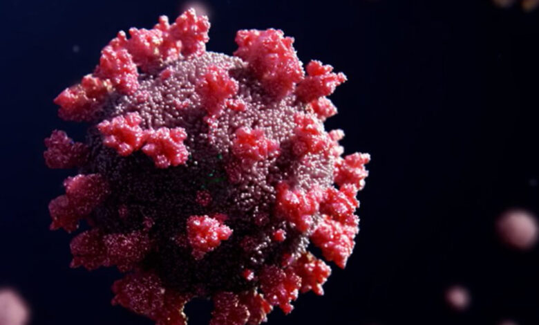 Así está formada una proteína de espiga de Omicron 1 Así está formada una proteína de espiga de Omicron