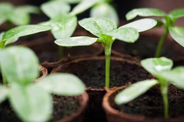 El nuevo fondo de At One Ventures persigue a las nuevas empresas para 'destruir las industrias que están destruyendo el medio ambiente' 1 El nuevo fondo de At One Ventures persigue a las nuevas empresas para 'destruir las industrias que están destruyendo el medio ambiente'