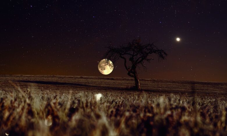 En qué fase lunar se siembra y por qué 1 En que fase lunar se siembra y por que