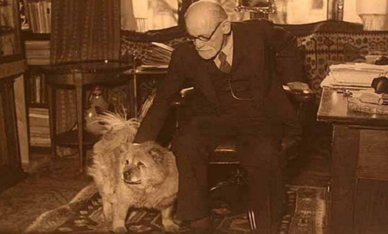 La curiosa historia de Jofi el perro asistente de Freud