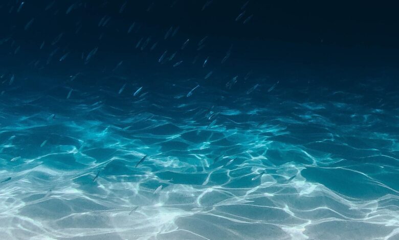 ¿Por que el Oceano Indico se llama asi