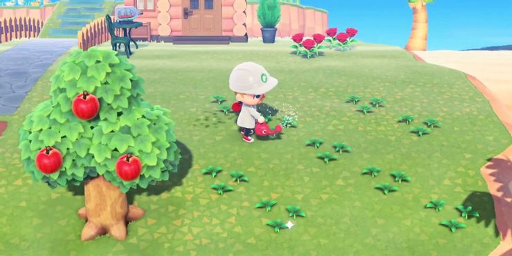 Animal Crossing: reglas tácitas para visitar islas y cooperar 5 1639931369 507 Animal Crossing reglas tacitas para visitar islas y cooperar.5