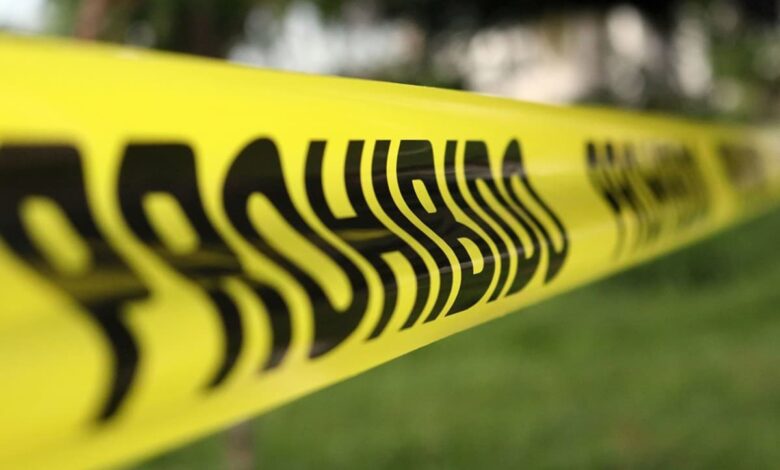 Fiscalías de Yucatán y Quintana Roo investigan hallazgo de ocho cuerpos en Chikindzonot 1 Asesinan a dos guardias en instalaciones de Canal 44 en Jalisco; UdeG exige justicia