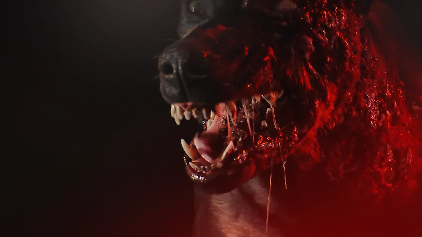 Serie 'Resident Evil' en Netflix: todo lo que sabemos hasta ahora 4 residentevildog