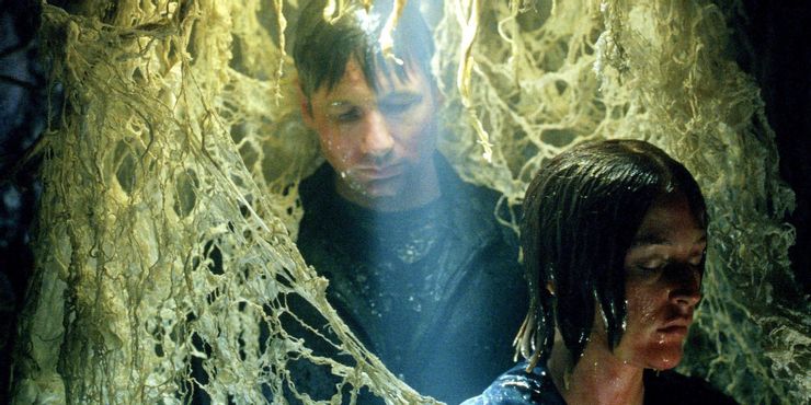 Teoría de Expediente X: La excursión de Mulder y Scully nunca terminó 2 Teoria de Expediente X La excursion de Mulder y Scully.5