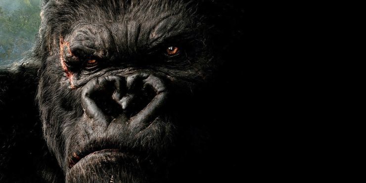 ¿Qué es un reinicio, renacimiento, remake y secuela? Explicación de las diferencias 4 1641078678 82 ¿Que es un reinicio renacimiento remake y secuela Explicacion de.5
