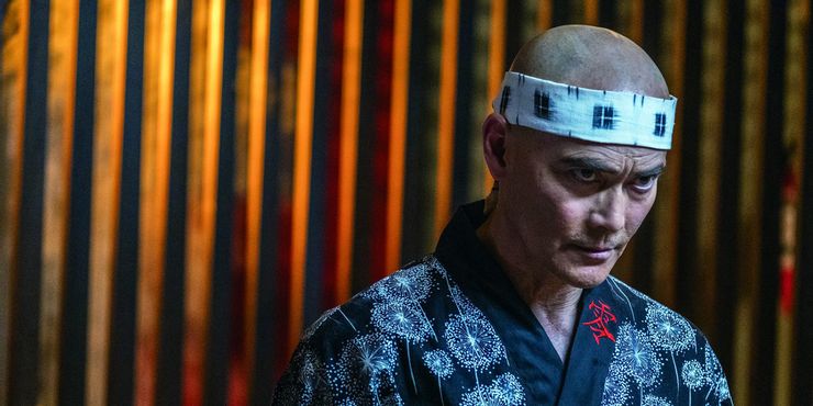 Cobra Kai: Los 9 mejores artistas y actores marciales que deberían hacer cameos 7 1641627920 583 Cobra Kai Los 9 mejores artistas y actores marciales que.5