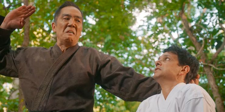 Cobra Kai: 10 mejores peleas de la serie (hasta ahora) 10 1641837805 915 Cobra Kai 10 mejores peleas de la serie hasta ahora.5