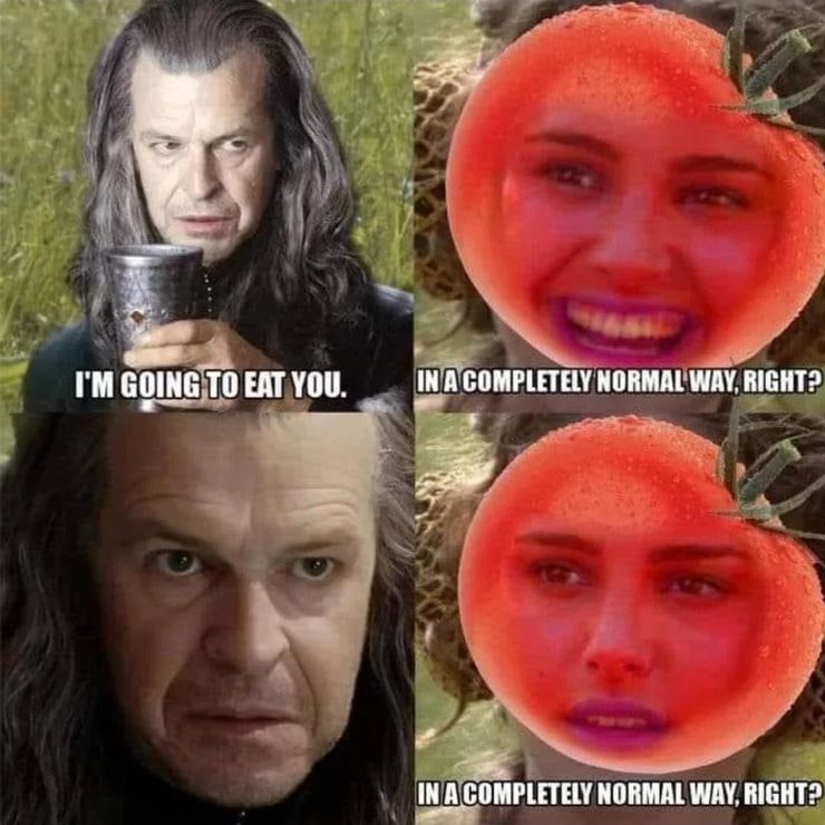 El vigésimo aniversario de The Fellowship Of The Ring: 10 memes que te harán llorar de risa 7 1642399218 196 El vigesimo aniversario de The Fellowship Of The Ring 10.5