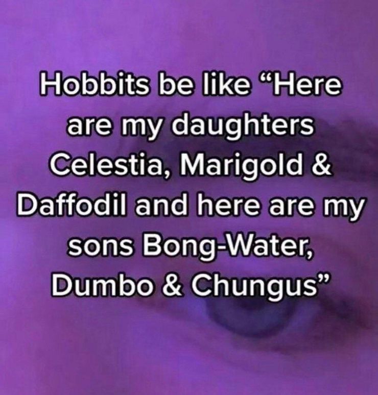 El vigésimo aniversario de The Fellowship Of The Ring: 10 memes que te harán llorar de risa 8 1642399219 873 El vigesimo aniversario de The Fellowship Of The Ring 10.5