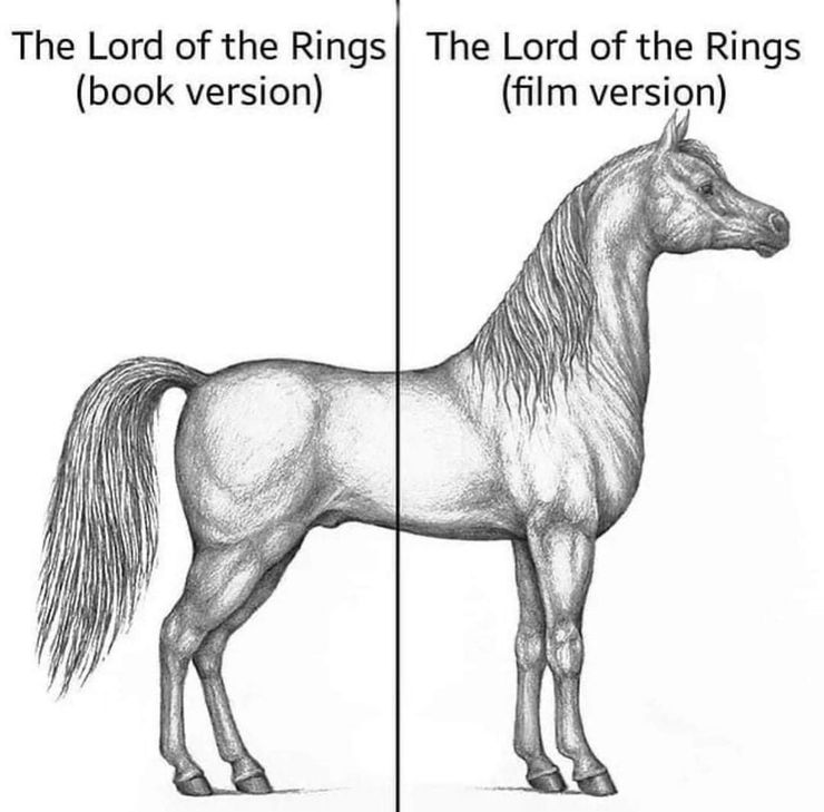 El vigésimo aniversario de The Fellowship Of The Ring: 10 memes que te harán llorar de risa 9 1642399221 526 El vigesimo aniversario de The Fellowship Of The Ring 10.5