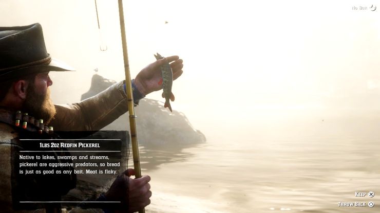 RDR2: cada tipo de carne (y cómo obtenerlos) 4 1642632316 272 RDR2 cada tipo de carne y como obtenerlos.5