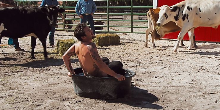 Las 10 citas más divertidas de las películas Jackass 6 1642637414 947 Jackass 10 acrobacias de las que Bam Margera probablemente se.5