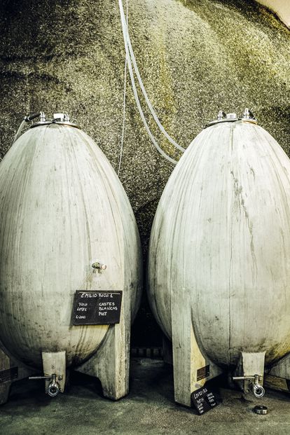 El ‘factor Emilio Rojo’, la historia del visionario viticultor de Ribeiro 3 Dos barricas de Viña Mein. El tratamiento en bodega es de mínima intervención, con fermentación de las propias levaduras y sin ningún tipo de contacto con madera.