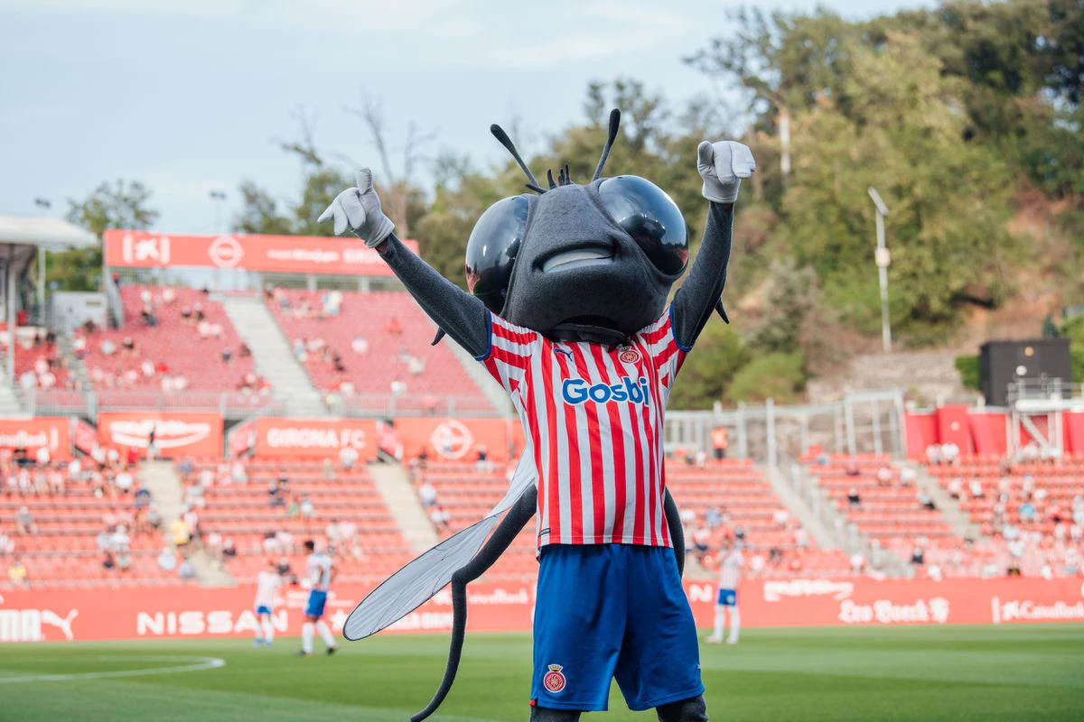 La mosca que quiere volver a ser la heroína de Girona 1 La mosca que quiere volver a ser la heroina de