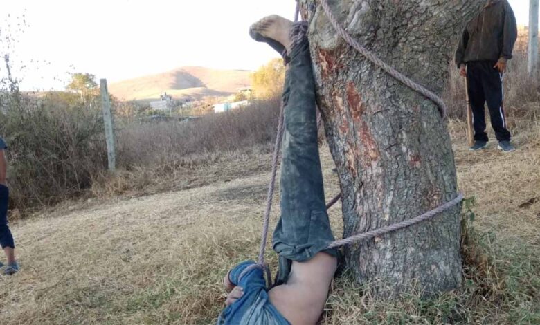 Linchan y cuelgan de un árbol a ratero, vecinos se hacen justicia por propia mano 1 Linchan y cuelgan de un árbol a ratero, vecinos se hacen justicia por propia mano