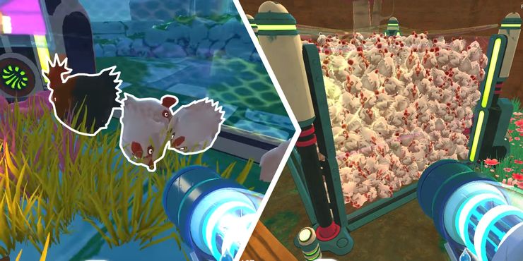 Slime Rancher: Cómo criar pollos 2 Slime Rancher Como criar pollos.5