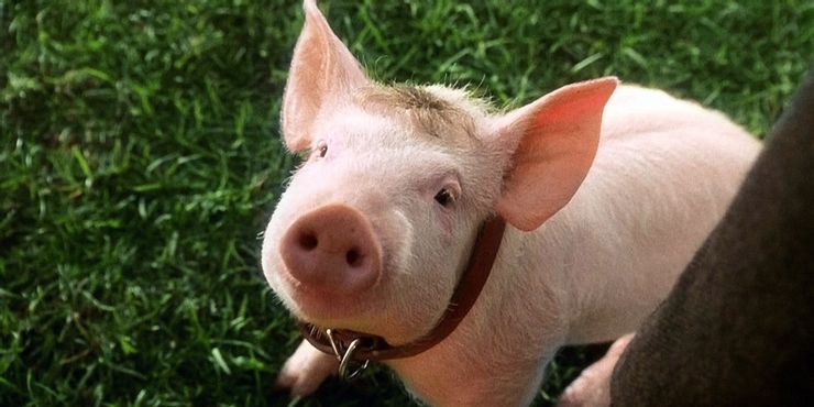 8 productos que fueron "arruinados" por una película, según Reddit 2 1645687397 120 10 comedias que recibieron multiples nominaciones al Oscar.5