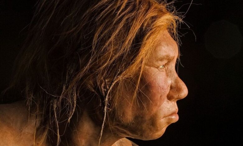 Las personas con genes neandertales son más propensas a sufrir coronavirus grave 1 Las personas con genes neandertales son mas propensas a sufrir