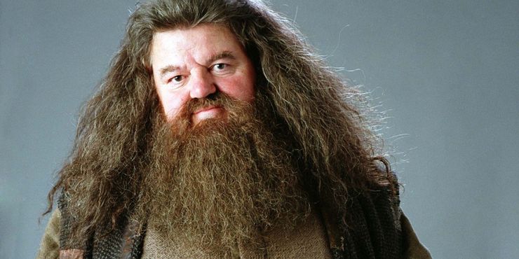 Todos los personajes vivos de Harry Potter durante la línea de tiempo de Fantastic Beasts 5 1647627737 331 Todos los personajes vivos de Harry Potter durante la linea.5