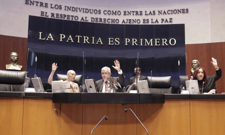 Senado aprueba reforma que impide al Tribunal Electoral intervenir en decisiones internas del Legislativo 1 Senado aprueba reforma que impide al Tribunal Electoral intervenir en decisiones internas del Legislativo
