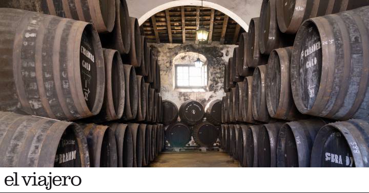 Bodegas Tradición: de vinos con Velázquez y Goya 1 1650199092 Bodegas Tradicion de vinos con Velazquez y Goya