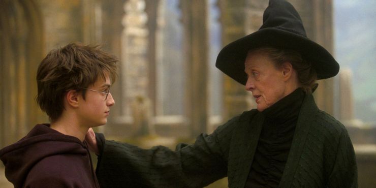 Harry Potter: 10 citas de libros de Minerva McGonagall que deberían haber estado en las películas 11 1650812901 141 Harry Potter 10 escenas de libros sin importancia que a.5