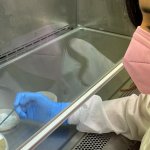 Fiebre del Valle: hispanas buscan tratamiento para infección que puedes contraer sólo con respirar 3 1651009371 184 Fiebre del Valle hispanas buscan tratamiento para infeccion que puedes