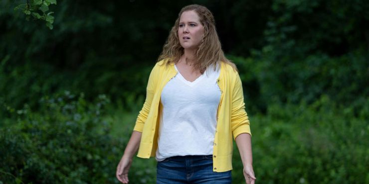 Amy Schumer's Life & Beth Temporada 2 Renovación confirmada por Hulu 2 Amy Schumers Life Beth Temporada 2 Renovacion confirmada por.5
