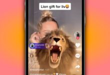 ¿Cuánto cuesta un león en TikTok Live? El regalo raro explicado