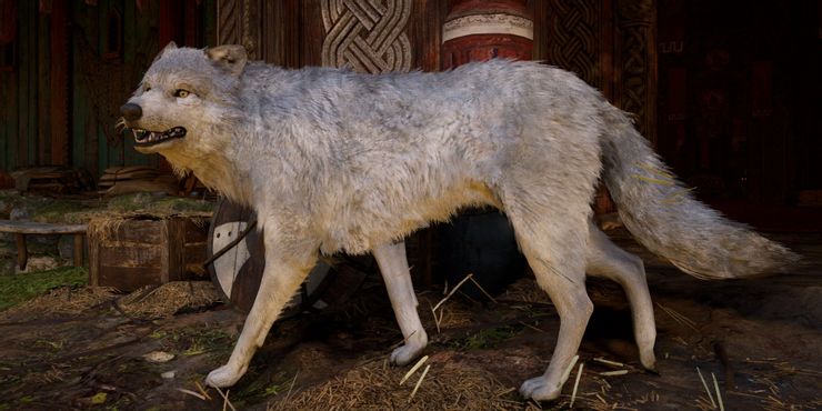 Los mejores compañeros animales de Assassin's Creed Valhalla, clasificados 7 1653257912 273 Los mejores companeros animales de Assassins Creed Valhalla clasificados.5