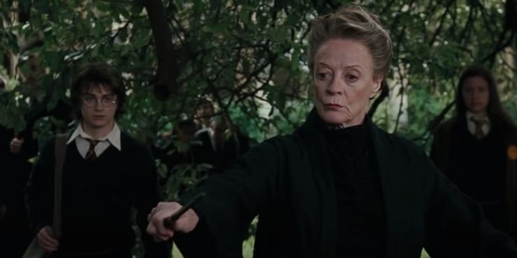 Harry Potter: 10 citas de libros de Minerva McGonagall que deberían haber estado en las películas 5 1653995059 782 Harry Potter 10 citas de libros de Minerva McGonagall que.5