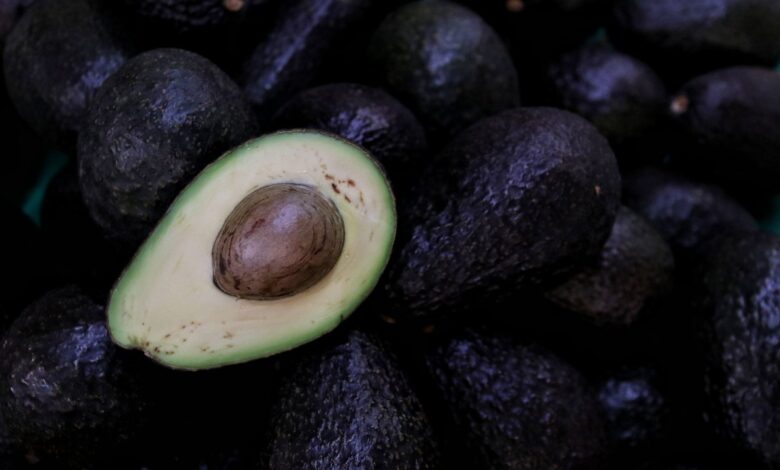 Costa Rica respeta fallo de la OMC y reactiva importación de aguacate mexicano 1 Costa Rica respeta fallo de la OMC y reactiva importación de aguacate mexicano