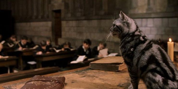 Harry Potter: 10 citas de libros de Minerva McGonagall que deberían haber estado en las películas 2 Harry Potter 10 citas de libros de Minerva McGonagall que.5