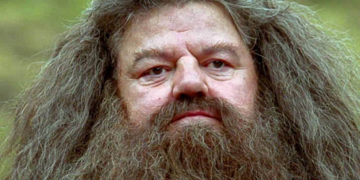 Los 10 mejores insultos de Harry Potter, según Ranker 8 1655180490 942 Los 10 mejores insultos de Harry Potter segun Ranker.5