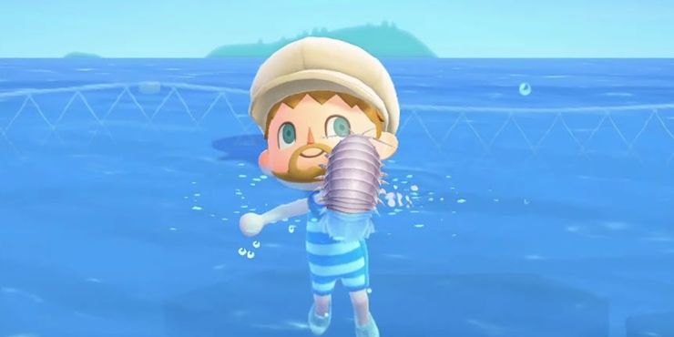 Animal Crossing: todo lo nuevo en julio de 2022 (insectos, peces, artículos de temporada) 3 1656177919 273 Animal Crossing todo lo nuevo en julio de 2022 insectos.5