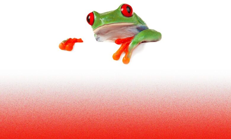 Las ranas calentitas o el fin de la democracia 1 Las ranas calentitas o el fin de la democracia